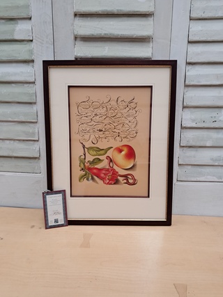 5x Afbeelding in lijst