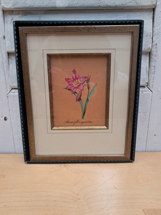 Partij Afbeeldingen in lijst bloemen