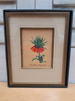 Partij Afbeeldingen bloemen