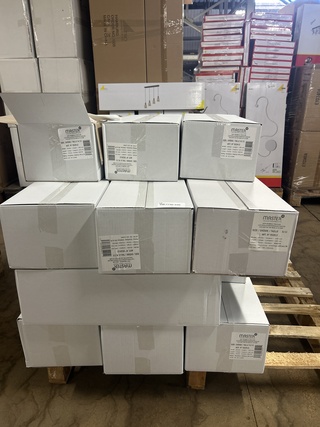 Ca. 1500x Luchtkussen envelop 100x165mm Master