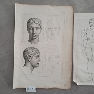 Proportion de l’Homme
