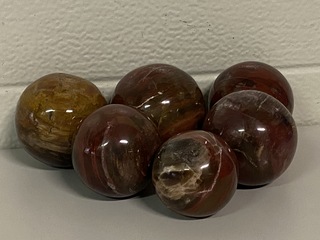 6x Versteend hout bollen