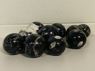 Ca. 10x Orthoceras bollen