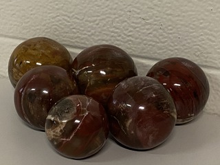 6x Versteend hout bollen