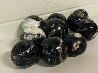 Ca. 10x Orthoceras bollen