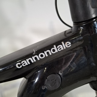 Elektrische mountainbike, Cannondale, Tesoro Neo X3, 2021