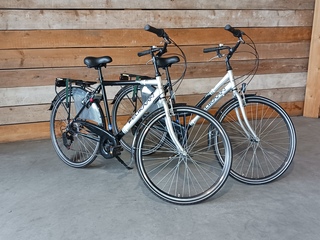 Dames- en herenfiets Pelikaan, Next city Six