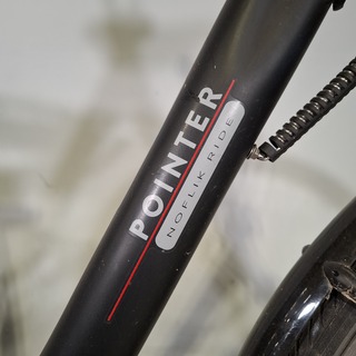 Elektrische damesfiets, Pointer, Edenta