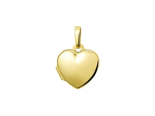 Marie-CelesteThe Jewelry Collection Medaillon Hart Geelgoud 14 Krt