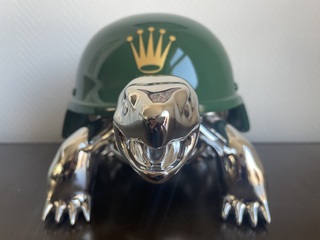 Schildpad Beeld