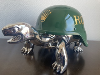 Schildpad Beeld