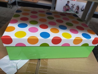 15 x Opberg boxen