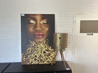 Schilderij inclusief lamp, meerkleurig
