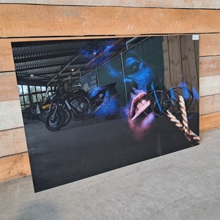 Plexiglas schilderij Cobra Art, GN7725