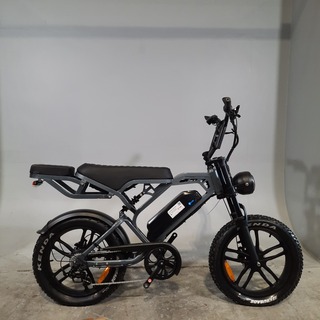 Fatbike, V20 Pro