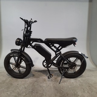 Fatbike, V20