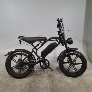Fatbike, V20