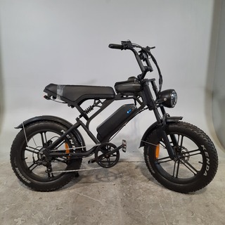 Elektrische fatbike