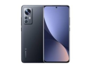 Xiaomi 12X Smartphone 256GB Grijs