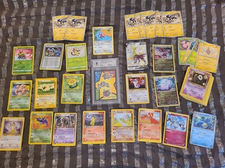 Collector’s Kavel – Zeldzame Gegradeerde Topps Pokémonkaart ‘Geodude,