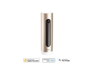 Netatmo Slimme Binnencamera met muurbevestiging, WIFI, Bewegingsdetec