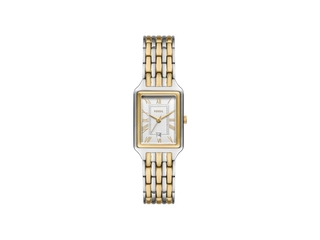 Fossil ES5368 Dames Horloge Raquel Quartz uurwerk met drie wijzers Zil