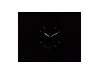 Emporio Armani Roestvrijstalen Horloge met Drie wijzers