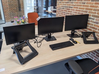 3x Monitor, 2x Iiyama, 1x Acer