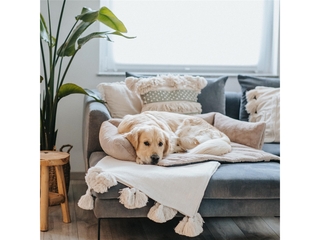District 70 Nuzzle  Zachte Mand Voor Op De Bank  Medium: 75 x 75 cm  M