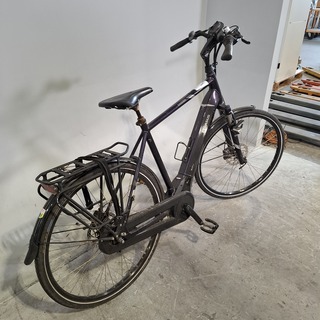 Elektrische herenfiets, Pegasus
