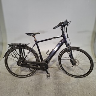 Elektrische herenfiets, Pegasus