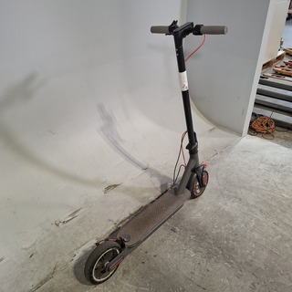 Elektrische step