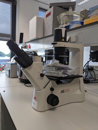 Omgekeerde microscoop Motic, AE2000 TRI