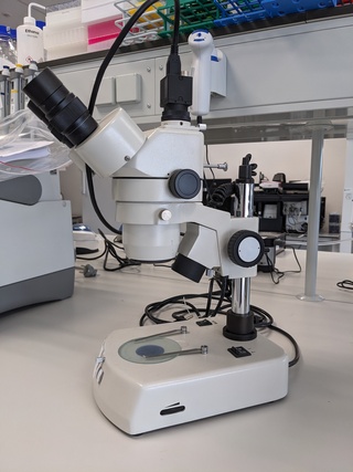 Microscoop Motic, SMZ-143 series