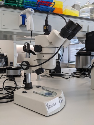 Microscoop Motic, SMZ-143 series