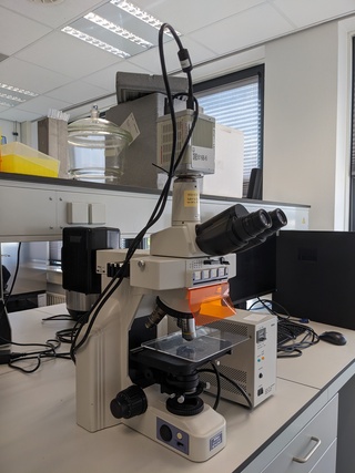 Microscoop met toebehoren Nikon, Eclipse E400
