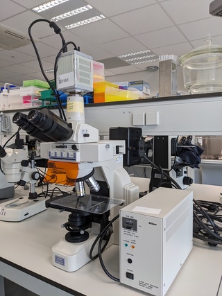 Microscoop met toebehoren Nikon, Eclipse E400