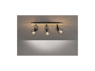 Fischer&Honsel De Plafondlamp Metaal 40 W Zwart