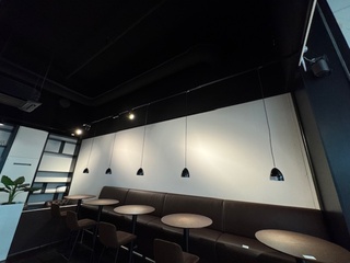 Ca.16 meter Lichtrail met LED verlichting, zwart
