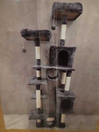 Krabpaal kat kitten SanderZ, 2025