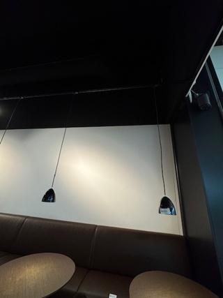 Ca.16 meter Lichtrail met LED verlichting, zwart