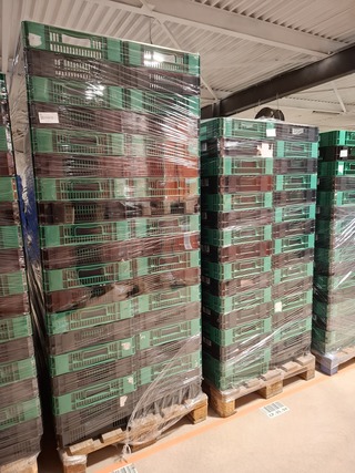 Ca. 136x Kunststof krat