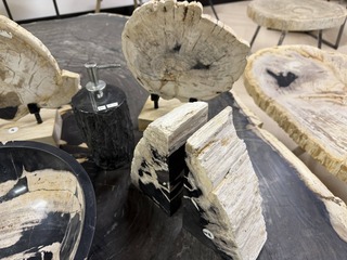 Unieke Versteend Houten Set – Miljoenen Jaren Oud, 2025