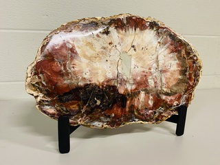 Versteend hout plak + standaard