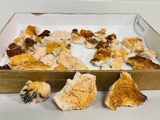 Ca. 37x Bariet brokjes