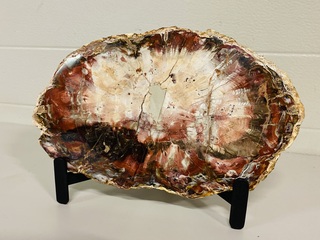 Versteend hout plak + standaard