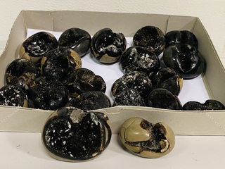 Ca. 20x Wilde septarie geodes (handsteen), bruin/geel