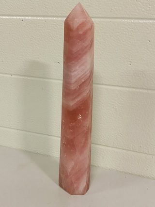 Rozenkwarts obelisk XL, roze