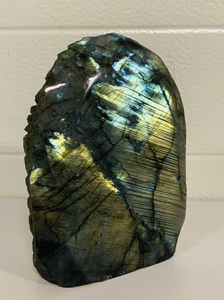 Labradoriet staand stuk