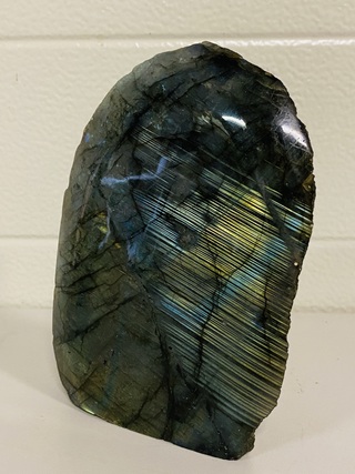 Labradoriet staand stuk